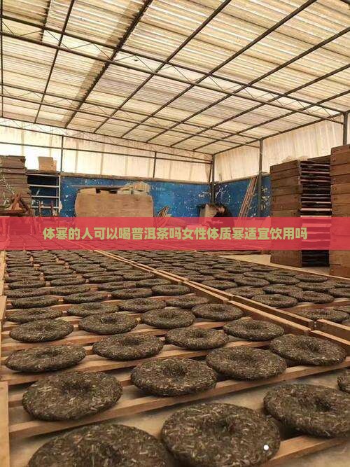 体寒的人可以喝普洱茶吗女性体质寒适宜饮用吗