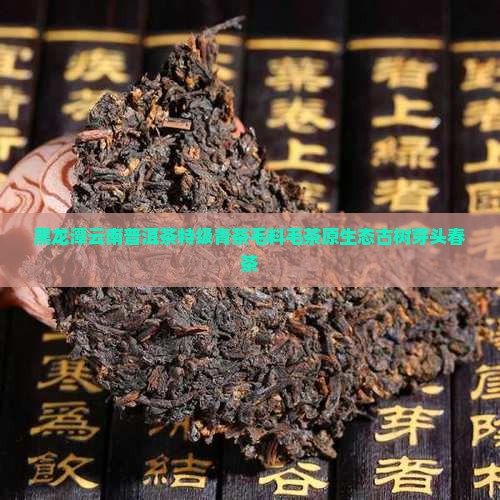 黑龙潭云南普洱茶特级青茶毛料毛茶原生态古树芽头春茶