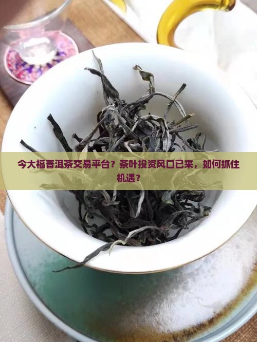 今大福普洱茶交易平台？茶叶投资风口已来，如何抓住机遇？