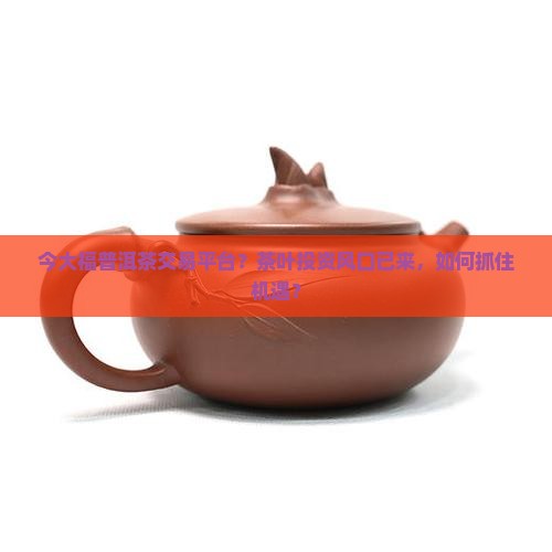 今大福普洱茶交易平台？茶叶投资风口已来，如何抓住机遇？