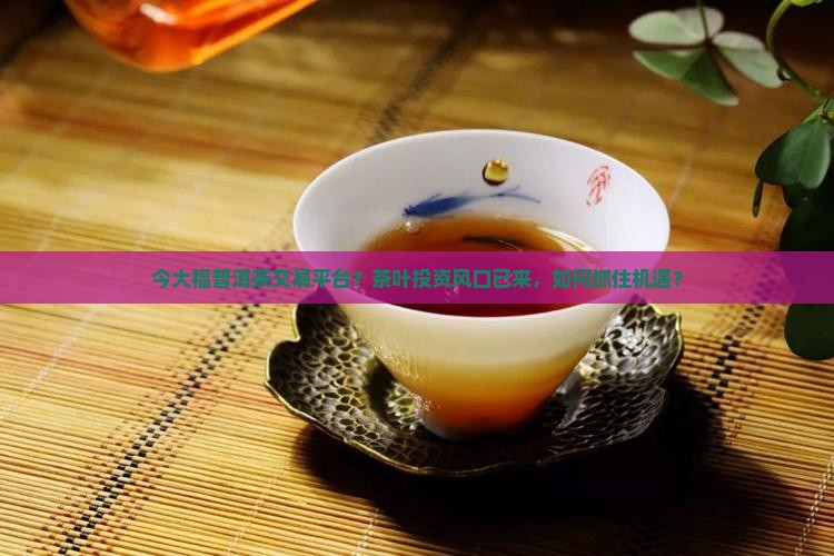 今大福普洱茶交易平台？茶叶投资风口已来，如何抓住机遇？