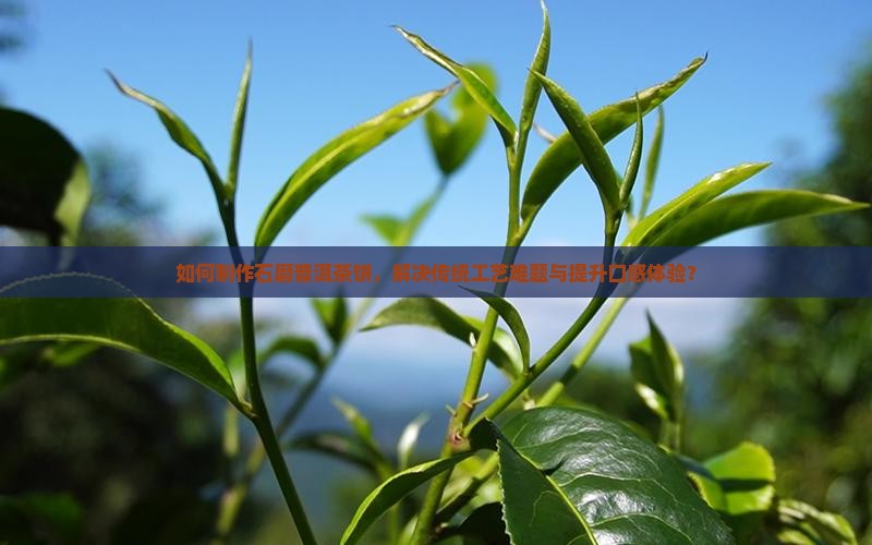 如何制作石磨普洱茶饼，解决传统工艺难题与提升口感体验？