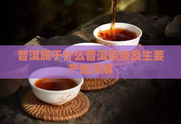 普洱属于什么普洱茶类及主要产地详解