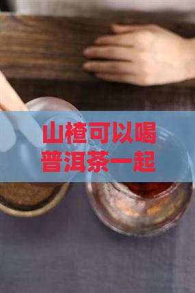 山楂可以喝普洱茶一起饮用的搭配建议