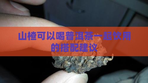 山楂可以喝普洱茶一起饮用的搭配建议