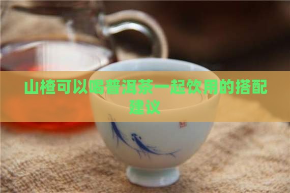 山楂可以喝普洱茶一起饮用的搭配建议