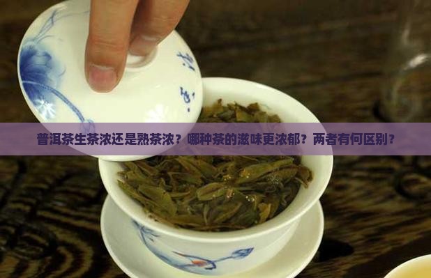 普洱茶生茶浓还是熟茶浓？哪种茶的滋味更浓郁？两者有何区别？