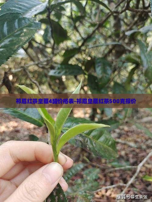 祁眉红茶皇藏4罐价格表-祁眉皇藏红茶500克报价