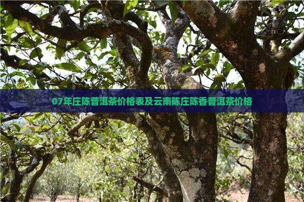 07年庄陈普洱茶价格表及云南陈庄陈香普洱茶价格