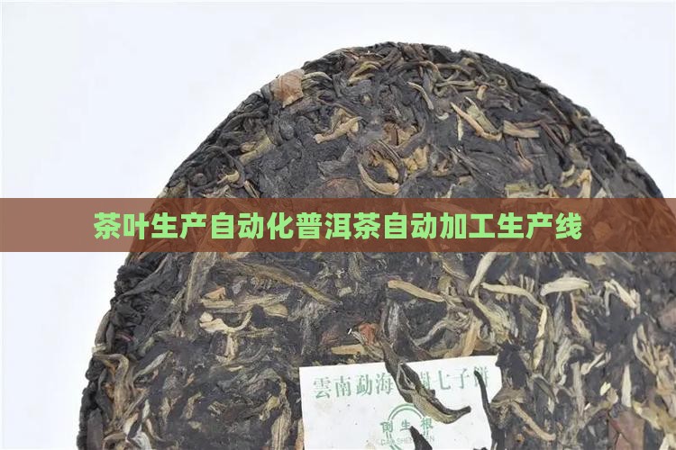 茶叶生产自动化普洱茶自动加工生产线