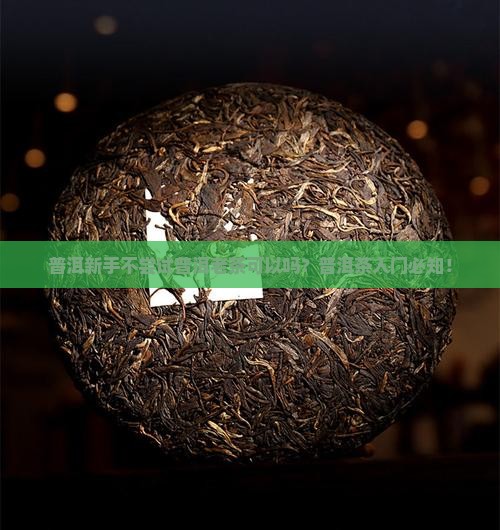 普洱新手不尝试普洱老茶可以吗？普洱茶入门必知！