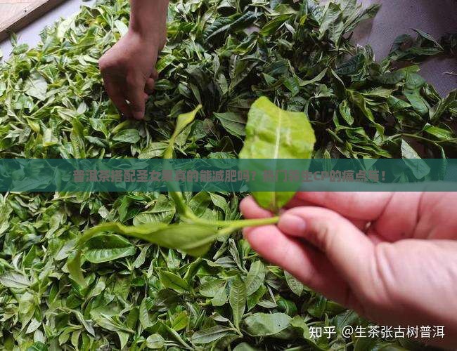 普洱茶搭配圣女果真的能减肥吗？热门养生CP的痛点与！