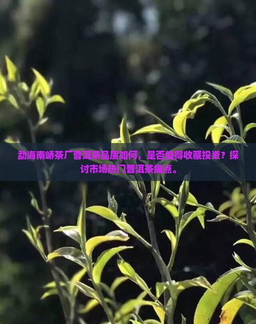 勐海南峤茶厂普洱茶品质如何，是否值得收藏投资？探讨市场热门普洱茶痛点。