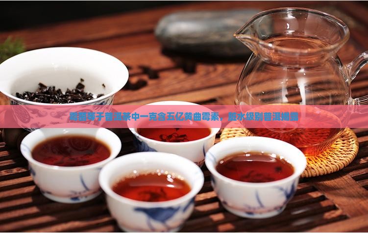 霉菌等于普洱茶中一克含五亿黄曲霉素，脏水级别普洱揭露