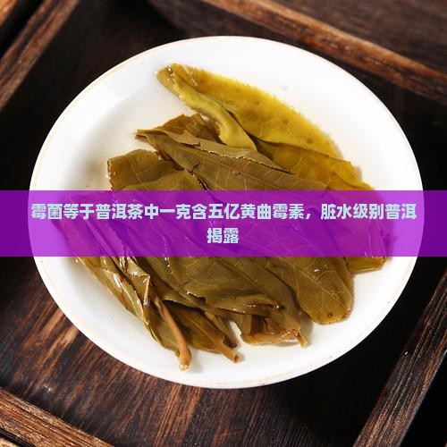 霉菌等于普洱茶中一克含五亿黄曲霉素，脏水级别普洱揭露