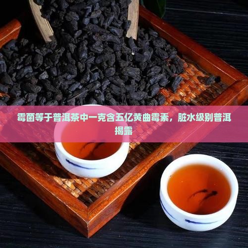 霉菌等于普洱茶中一克含五亿黄曲霉素，脏水级别普洱揭露