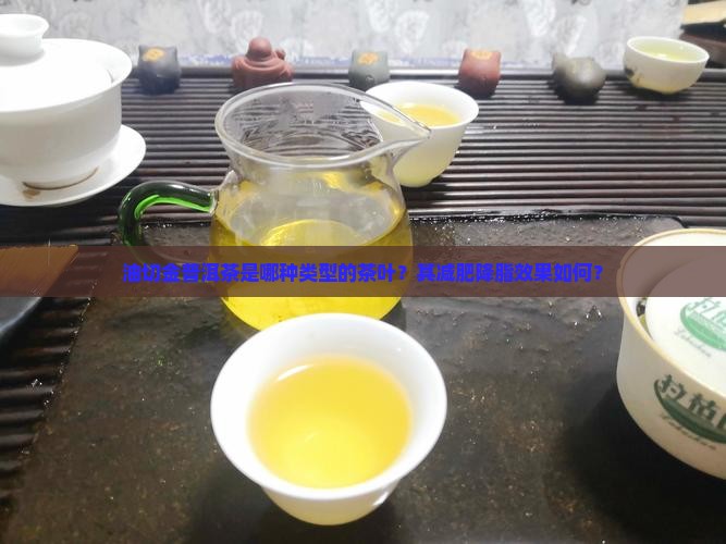 油切金普洱茶是哪种类型的茶叶？其减肥降脂效果如何？