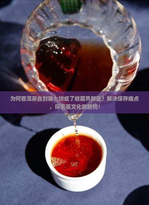 为何普洱茶自封袋七饼成了收藏界新宠？解决保存痛点，探索茶文化新趋势！