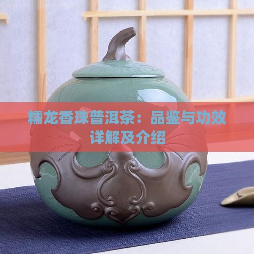 糯龙香珠普洱茶：品鉴与功效详解及介绍