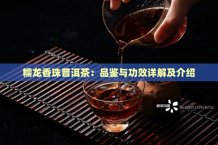 糯龙香珠普洱茶：品鉴与功效详解及介绍