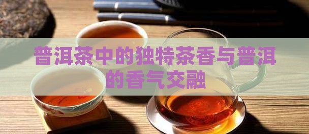 普洱茶中的独特茶香与普洱的香气交融