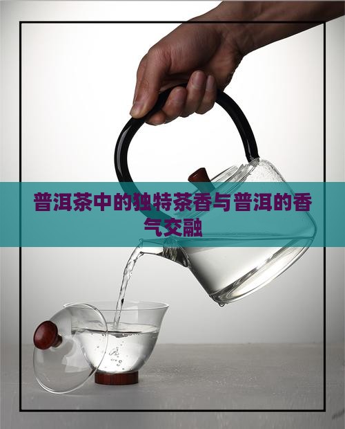 普洱茶中的独特茶香与普洱的香气交融