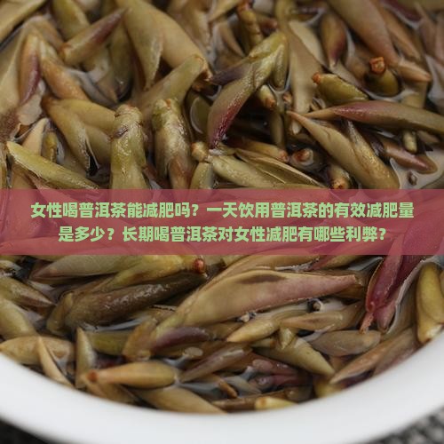 女性喝普洱茶能减肥吗？一天饮用普洱茶的有效减肥量是多少？长期喝普洱茶对女性减肥有哪些利弊？