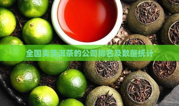 全国卖普洱茶的公司排名及数量统计