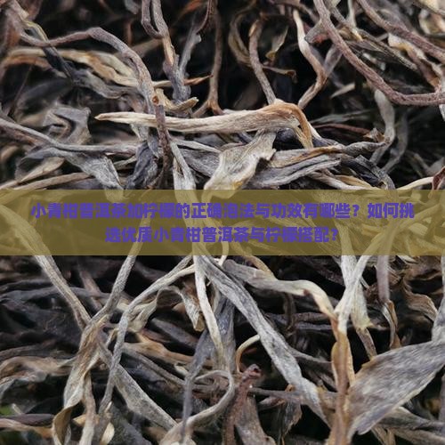 小青柑普洱茶加柠檬的正确泡法与功效有哪些？如何挑选优质小青柑普洱茶与柠檬搭配？