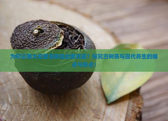 为何云南太和普洱茶如此受欢迎？探究古树茶与现代养生的痛点与热点！