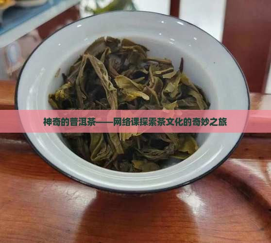 神奇的普洱茶——网络课探索茶文化的奇妙之旅