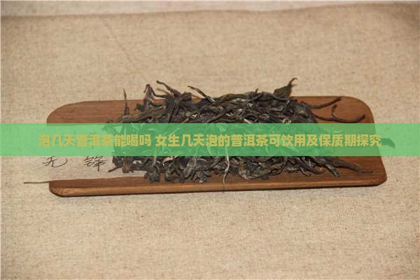 泡几天普洱茶能喝吗 女生几天泡的普洱茶可饮用及保质期探究