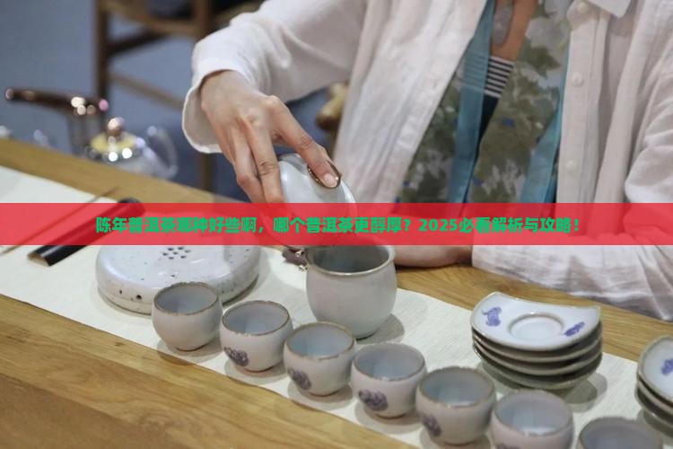 陈年普洱茶哪种好些啊