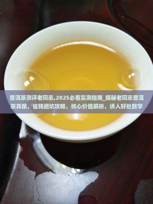 普洱茶测评老同志