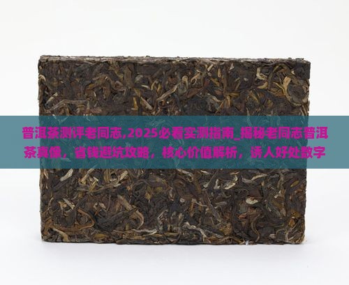 普洱茶测评老同志