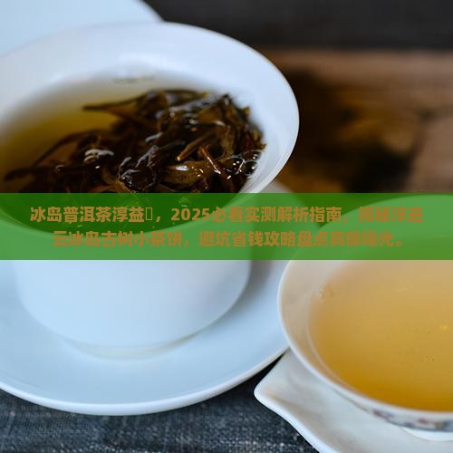 冰岛普洱茶淳益蕓