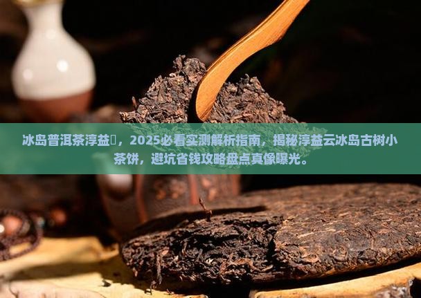 冰岛普洱茶淳益蕓