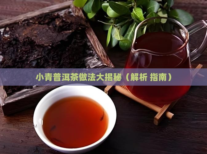 小青桔普洱茶的做法大全