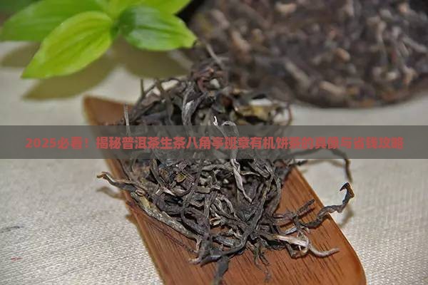 普洱茶生茶八角亭班章有机饼茶