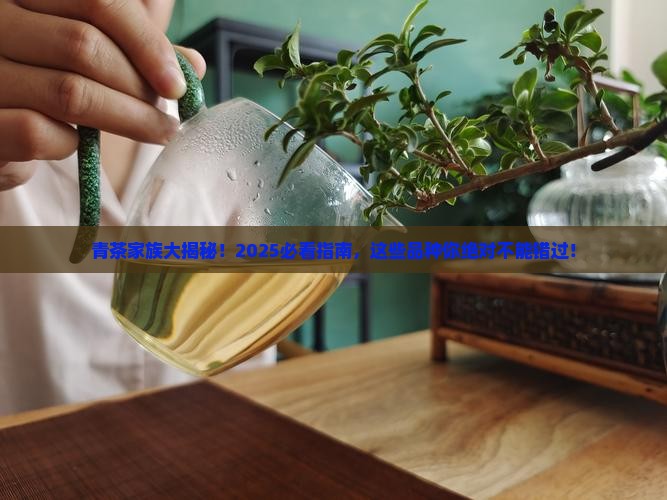 青茶有哪些品种排名