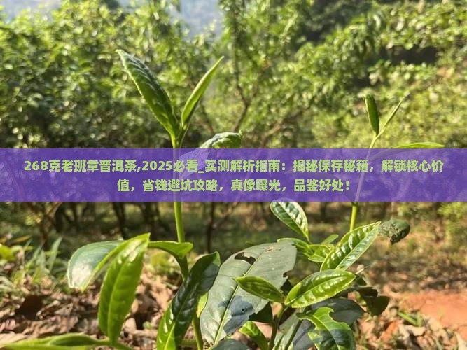 268克老班章普洱茶