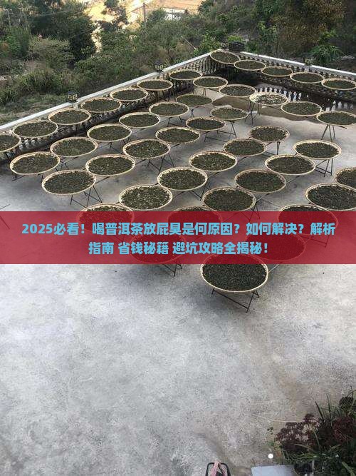 喝普洱茶放屁臭