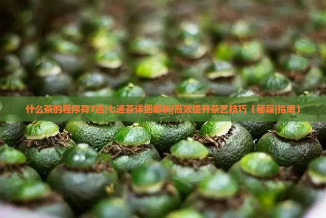 什么茶的程序有7道