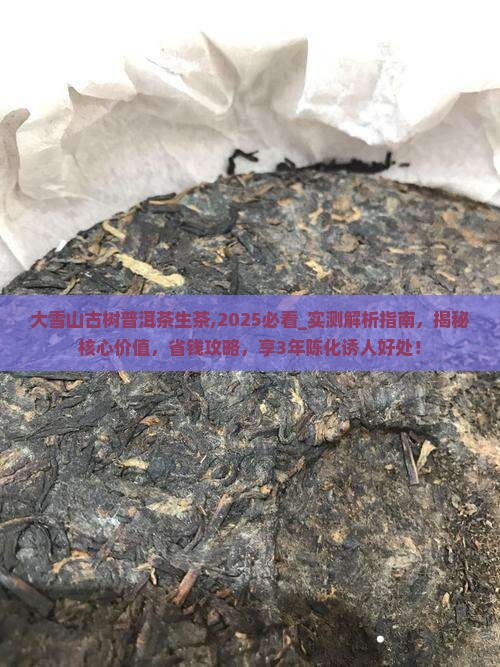 大雪山古树普洱茶生茶