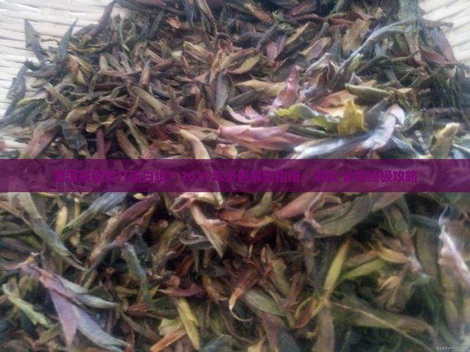 普洱茶里带几张白纸