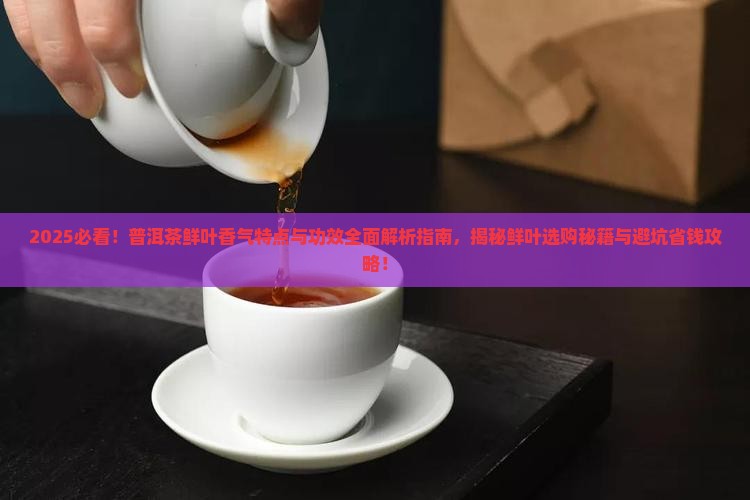 普洱茶鲜叶的香气特点与功效