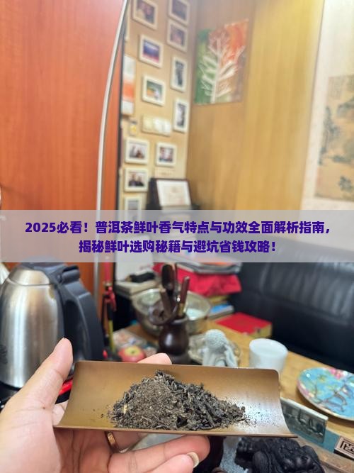普洱茶鲜叶的香气特点与功效