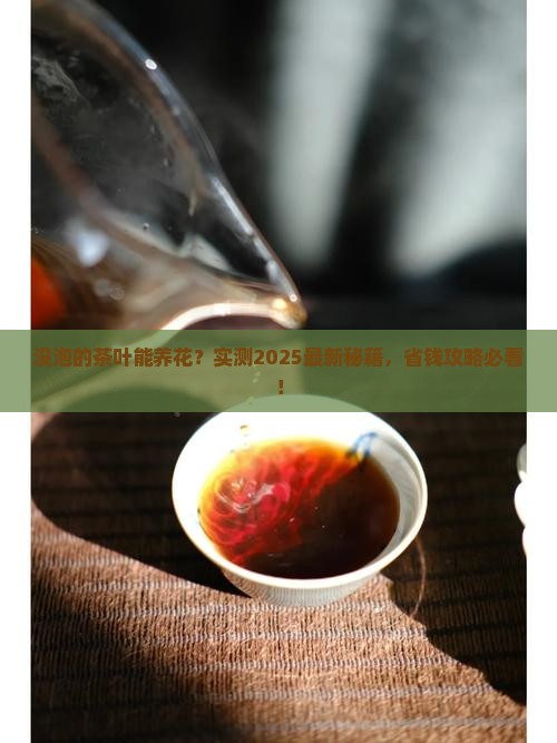 没泡的茶叶可以养花吗
