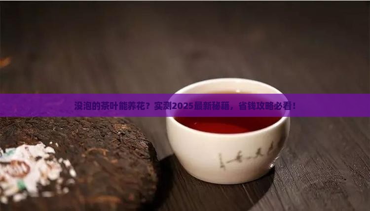没泡的茶叶可以养花吗