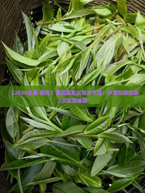普洱茶怎么泡才嫩